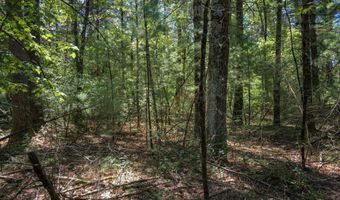 19 Th Pass Lot 132, Arkdale, WI 54613