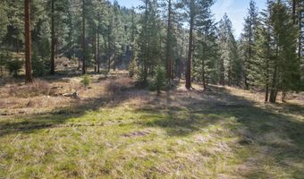 13902 Highland Trl, Alberton, MT 59820