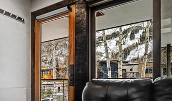 100 E Dean St 3C, Aspen, CO 81611