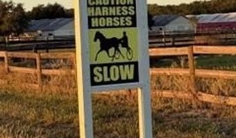 20 Th St, Bell, FL 32619