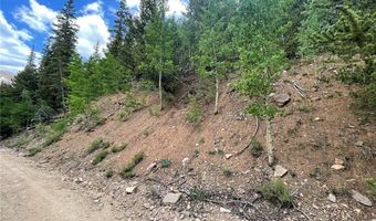 847 COUNTY ROAD 787, Alma, CO 80420