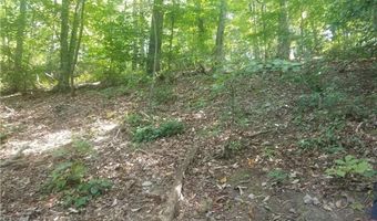 Whippoorwill Terrace, Alto, GA 30510