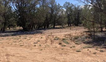 00 Off Of Rainy Rd, Ash Fork, AZ 86320