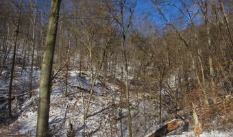 297 Woodburn Run Rd, Alma, WV 26320