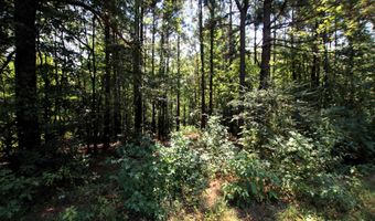 000 Sorrell Rd, Benton, AR 72015
