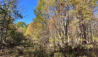 1235 White Hill Rd, Alma, NY 14715