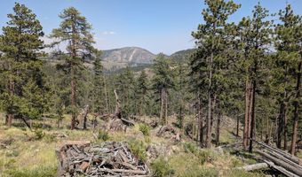 Old Camp Rd, Bellvue, CO 80512