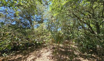 30 Sabal Palm Trl Lot 893, Bald Head Island, NC 28461