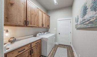115 Buddy Ct, Millsap, TX 76066