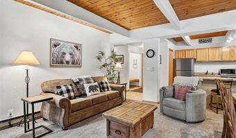800 Columbine Rd C1, Breckenridge, CO 80424