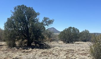 10 N2 Off Of Looking Glass, Ash Fork, AZ 86320
