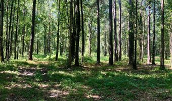 337 Weathers Farm Rd, Bowman, SC 29018