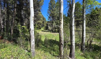 Powerline Road, Boulder, MT 59632