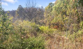90 Joyce Way, Augusta, KY 41002