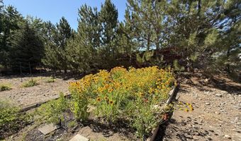 1438 Topaz Ln, Gardnerville, NV 89460