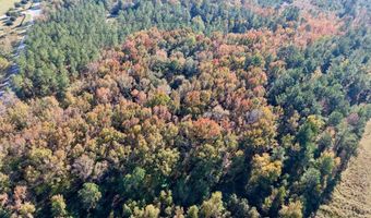 TBD Binnicker Bridge Road, Bamberg, SC 29003