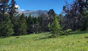 Blacktooth Road lot 12, Big Horn, WY 82833