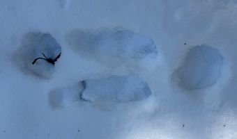US-1 lot 10, Baring Plt, ME 04694