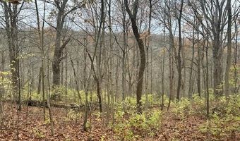 3 Salem Ridge Rd, Aurora, IN 47001