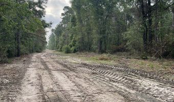 R15685 Moore Cemetery Road, Apple Springs, TX 77519