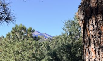 118 Mira Monte Rd Lot 9, Alto, NM 88312