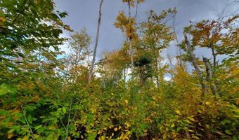 91 Greenleaf Brook Rd, Amity, ME 04730