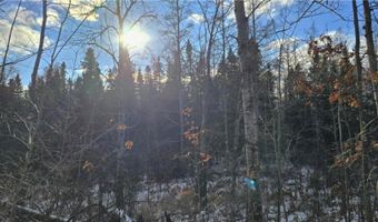 Tbd 359TH LN, Aitkin, MN 56431
