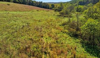 3850 Private Drive 3220, Ava, MO 65608