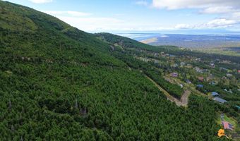 8460 Paine Rd, Anchorage, AK 99516