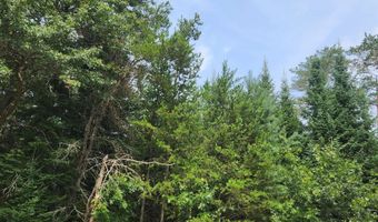 Parcel # 0703692 DEWBERRY LANE, Wisconsin Rapids, WI 54494