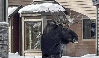 2695 Curly Bear Rd, Big Sky, MT 59716