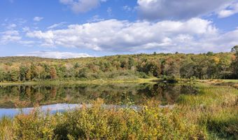209 Alder Pond Rd, Andes, NY 13731
