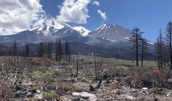 440 Acres North Slope Of Mount Shasta, Weed, CA 96094