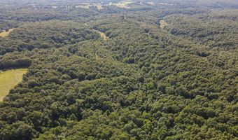 Private Drive Off Of Fr 1245, Aurora, MO 65605