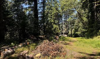 Silver Creek RD 2, Gold Beach, OR 97444