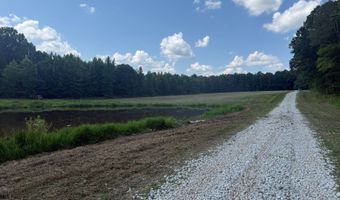 0000 Mifflin Rd, Beech Bluff, TN 38301