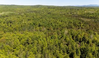 131 Gales Rd, Abbot, ME 04406