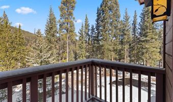 66 CHAPARRAL Ln, Breckenridge, CO 80424