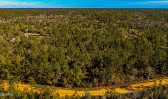 Rossville Avenue, Alford, FL 32420
