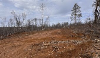 0 County Road 217 Lot 1, Blue Springs, MS 38828