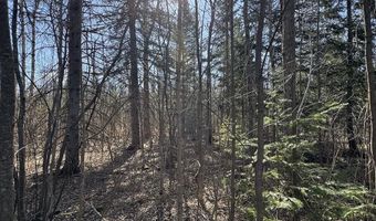 2254 E M30, Alger, MI 48610