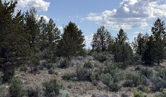 HWY 140 300, Beatty, OR 97621