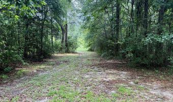 1551 Buckatunna Chicora Clara Rd, Buckatunna, MS 39322