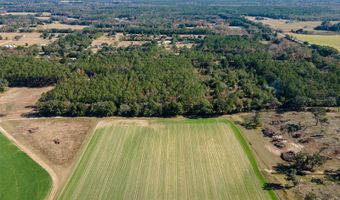 Tbd N COUNTY RD 1491, Alachua, FL 32615