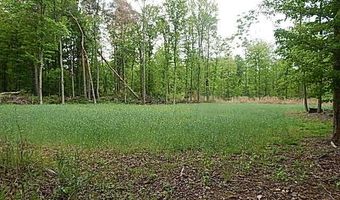 15252 27 Mile Rd, Albion, MI 49224