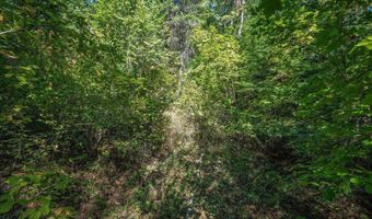 NKA Silver Creek Road, Clark Fork, ID 83811