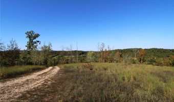 Off Hwy F, Annapolis, MO 63620