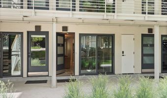 100 E Dean St 1D, Aspen, CO 81611