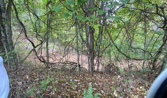 Bandy Rd / Whitaker Ridge Area, Bandy, VA 24602