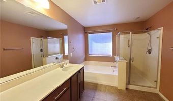 2081 Self Portrait St, Henderson, NV 89044